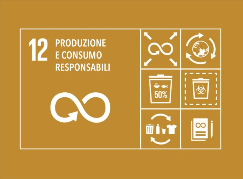 OBIETTIVO 12 ONU